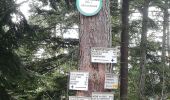 Trail Walking Rombach-le-Franc - Col de Fouchy  - Photo 3