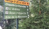 Trail Walking Manigod - ARAVIS: POINTE D'ORSIERE - Photo 2