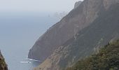 Trail Walking Machico - Madère : du tunnel de Caniçal à Porto da Cruz - aller en bus - Photo 14