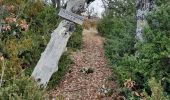 Randonnée Marche Noyers-sur-Jabron - montagne de boudeichard - Photo 2