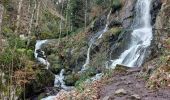 Excursión Senderismo Le Hohwald - Le Hohwald Source et Cascade - Photo 8