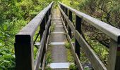 Trail Walking Flamengos - FAI GR01 : De volcan en volcan, Faial, Azores - Photo 10