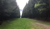 Tocht Stappen Stavelot - Stavelot et les crêtes de l’Amblève - Photo 9