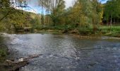 Trail Walking Dinant - Parc naturel Furfooz - Photo 10