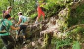 Percorso Marcia Stosswihr - rdpr gaschney - Photo 12