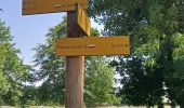 Trail Walking Craponne - craponne brindas francheville - Photo 2
