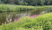 Tocht Stappen Wezembeek-Oppem - S-GR Groene Gordel: Tervuren - Kortenberg - Photo 20