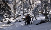 Excursión Raquetas de nieve La Llagonne - 20230224 pla avellans raquettes  - Photo 6