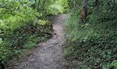 Trail Walking Dinant - freyr 1er aoÃ»t  - Photo 9