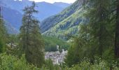 Excursión A pie Formazza - (SI E62) Rifugio Eugenio Margaroli all'Alpe Vannino - Bosco Gurin - Photo 2