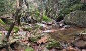 Trail  Bagnols-en-Forêt - Gorges de Blavet pays de Fayence - Photo 5