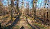 Trail Walking Dinant - Randonnée - Photo 6