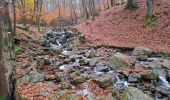 Trail Walking Spa - RS Spa 2024_11_17 - Photo 19