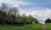 Tour Wandern Libin - rando redu  11-05-2023 - Photo 18