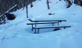 Tour Wandern Sewen - Lac d'Alfed et sa cascade - tour au pied du Ballon d'Alsace - Photo 20