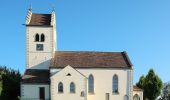 Tour Zu Fuß Markdorf - Wanderwege Markdorf: Froschweg - Photo 4