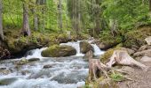 Trail Walking Montriond - Lac de Montiond et cascade de l Ardent - Photo 4