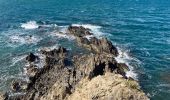 Percorso Marcia Port-Vendres - Port Vendres Collioure sur les hauteurs et la côte  - Photo 1