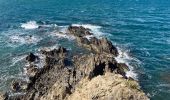 Trail Walking Port-Vendres - Port Vendres Collioure sur les hauteurs et la côte  - Photo 1