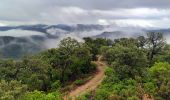 Tocht Stappen Pierrefeu-du-Var - SityTrail - Pierrefeu -temple- Bourjas par Ponseur - Photo 12