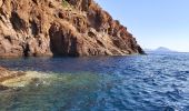 Randonnée Bateau à moteur Piana - Grand tour Scandola Piana Girolata - Photo 4