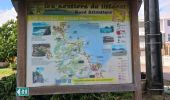 Tour Wandern Le Marigot - Boucle Le Mariigot - Charpentier - SLNA. - Photo 10