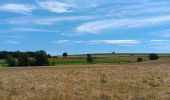 Trail Walking Esneux - mery . hayen . hautgne . betgne . fontain . avionpuits . mery - Photo 3