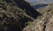 Percorso A piedi Canillas de Aceituno - Sendero El Saltillo - Photo 2
