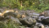 Trail Trail Petit-Bourg - INRA  - Photo 5