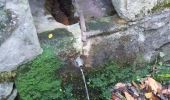 Trail Walking Saint-Laurent-de-Cerdans - st laurent de cerdan les fontaines - Photo 2