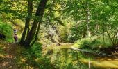 Tocht Stappen Doische - La Boucle de l'Hermeton - Photo 12