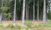 Trail Walking Libramont-Chevigny - Séviscourt - Photo 1