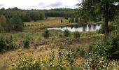 Tocht Stappen Saint-Hubert - Randonnée forêt st hubert la bilaude  - Photo 1