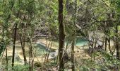 Randonnée Marche Nans-les-Pins - Nans les pins - sources de l'huveaune - Photo 1