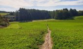 Trail Walking Dinant - Balade de Furfooz à Dréhance - Photo 6
