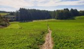 Tocht Stappen Dinant - Balade de Furfooz à Dréhance - Photo 6