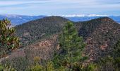 Trail Walking Saint-Raphaël - T-pic de l ours - Photo 3