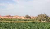 Tour Wandern M'Hamid El Ghizlane ⵎⵃⴰⵎⵉⴷ ⵍⵖⵯⵣⵍⴰⵏ امحاميد الغزلان - Campement 3 au Campement 4 - Photo 3