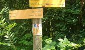 Trail Walking Craponne - craponne brindas francheville - Photo 3