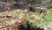Trail Walking Waimes - Peak brune - Photo 7