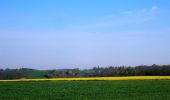 Percorso Marcia Chaumont-Gistoux - #210427 - Longueville, Hèze et Petit Hacquedeau - Photo 9