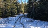 Trail Walking Corrençon-en-Vercors - Correncon 9-11-21 - Photo 2