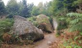 Tour Wandern Poullaouen - GR_37_ED_10_Poullaouen_Brennilis_20200809 - Photo 4