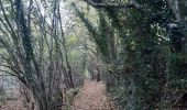 Tocht Stappen Comblain-au-Pont - oneux . chanbralles . croix septroux . hoyemont . oneux  - Photo 20