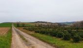 Excursión Senderismo Beauraing - Balade à Wancennes - Beauraing - Photo 15