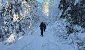 Randonnée Raquettes à neige Haut Valromey - la cua - Photo 2