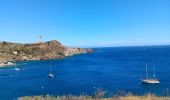 Excursión Senderismo Port-Vendres - les Paulilles - Cap Bear via le sentier du littoral  / retour via collines et vignes  - Photo 17