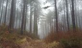 Randonnée Marche Fozières - Fauzieres jolie balade, fangouze, belle montée et retour dans la foret - Photo 13