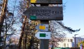 Trail Walking Chaudfontaine - La découverte de Sauheid et rocher du bout du monde   - Photo 3