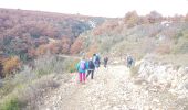 Excursión Senderismo Artignosc-sur-Verdon - Boucle du verdon - Photo 14